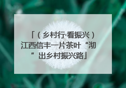 （乡村行·看振兴）江西信丰一片茶叶“沏”出乡村振兴路