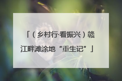（乡村行·看振兴）赣江畔滩涂地“重生记”