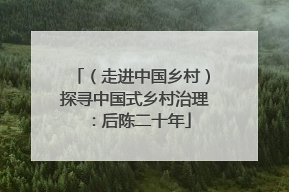 （走进中国乡村）探寻中国式乡村治理：后陈二十年