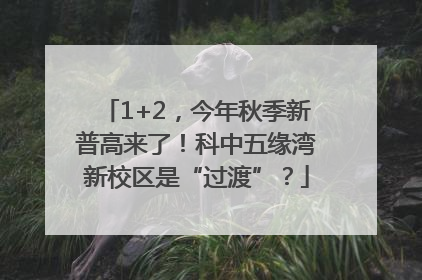 1+2，今年秋季新普高来了！科中五缘湾新校区是“过渡”？