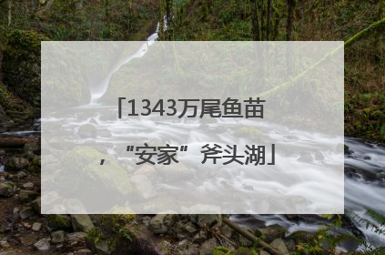 1343万尾鱼苗，“安家”斧头湖