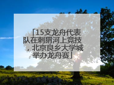15支龙舟代表队在刺猬河上竞技，北京良乡大学城举办龙舟赛