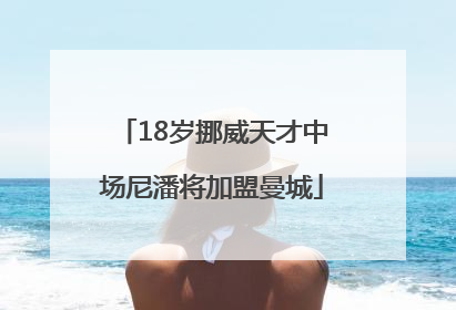 18岁挪威天才中场尼潘将加盟曼城