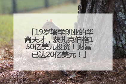 19岁辍学创业的华裔天才，获扎克伯格150亿美元投资！财富已达20亿美元！