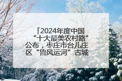 2024年度中国“十大最美农村路”公布，枣庄市台儿庄区“鲁风运河”古城文化廊道上榜！