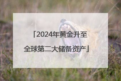 2024年黄金升至全球第二大储备资产