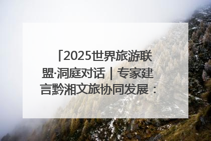 2025世界旅游联盟·洞庭对话｜专家建言黔湘文旅协同发展：聚焦产品稀缺性 深化区域经验共享
