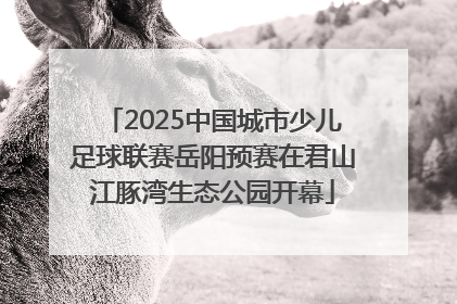 2025中国城市少儿足球联赛岳阳预赛在君山江豚湾生态公园开幕