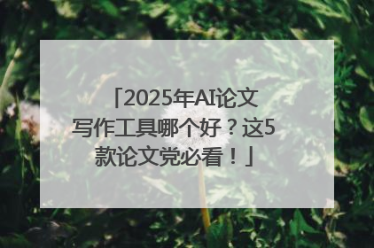 2025年AI论文写作工具哪个好？这5款论文党必看！