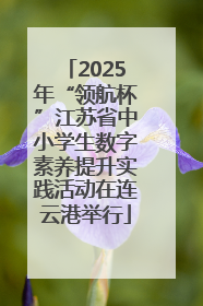 2025年“领航杯”江苏省中小学生数字素养提升实践活动在连云港举行