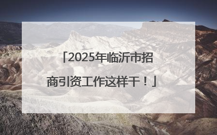 2025年临沂市招商引资工作这样干！