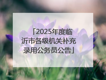 2025年度临沂市各级机关补充录用公务员公告