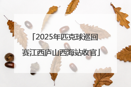2025年匹克球巡回赛江西庐山西海站收官