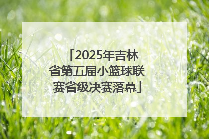2025年吉林省第五届小篮球联赛省级决赛落幕