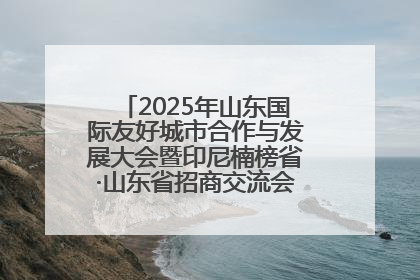 2025年山东国际友好城市合作与发展大会暨印尼楠榜省·山东省招商交流会在济南槐荫举行