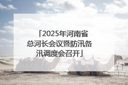2025年河南省总河长会议暨防汛备汛调度会召开
