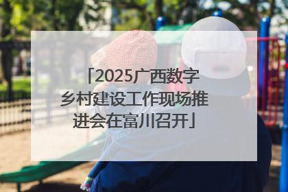 2025广西数字乡村建设工作现场推进会在富川召开