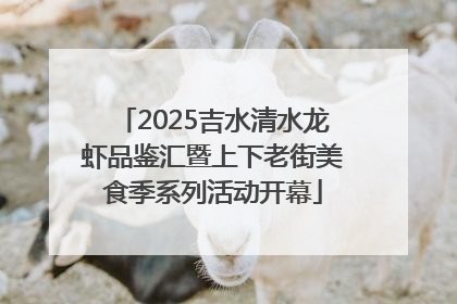 2025吉水清水龙虾品鉴汇暨上下老街美食季系列活动开幕