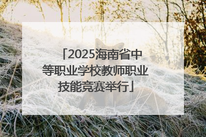2025海南省中等职业学校教师职业技能竞赛举行