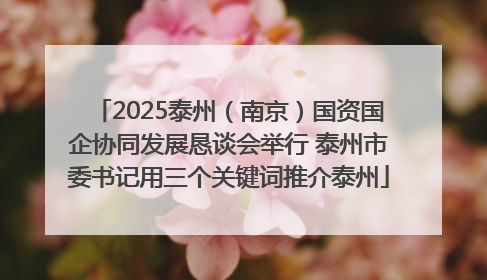 2025泰州（南京）国资国企协同发展恳谈会举行 泰州市委书记用三个关键词推介泰州