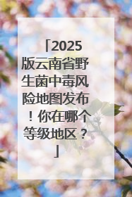 2025版云南省野生菌中毒风险地图发布！你在哪个等级地区？