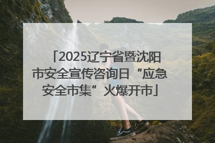 2025辽宁省暨沈阳市安全宣传咨询日“应急安全市集”火爆开市
