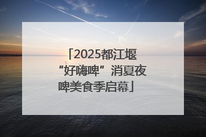 2025都江堰“好嗨啤”消夏夜啤美食季启幕
