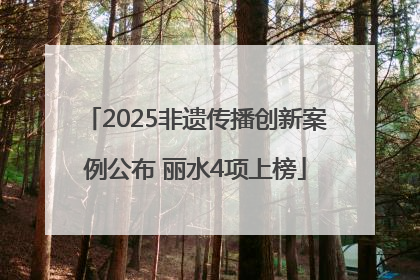 2025非遗传播创新案例公布 丽水4项上榜