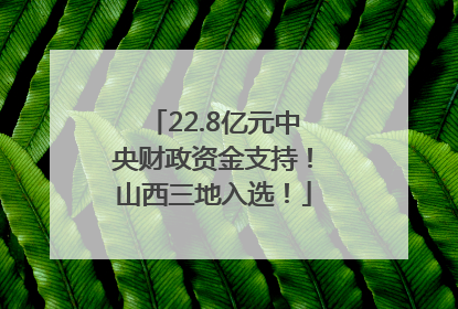 22.8亿元中央财政资金支持！山西三地入选！