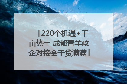 220个机遇+千亩热土 成都青羊政企对接会干货满满