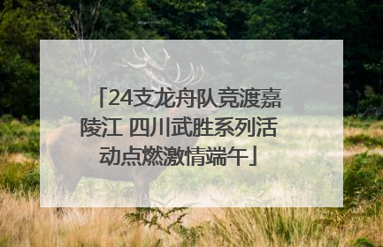 24支龙舟队竞渡嘉陵江 四川武胜系列活动点燃激情端午