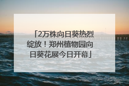 2万株向日葵热烈绽放！郑州植物园向日葵花展今日开幕