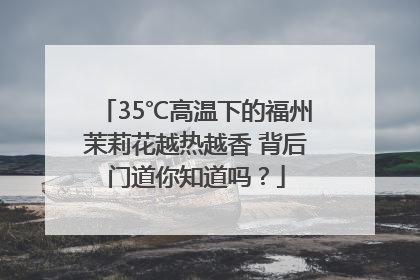 35℃高温下的福州茉莉花越热越香 背后门道你知道吗？