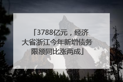 3788亿元，经济大省浙江今年新增债务限额同比涨两成