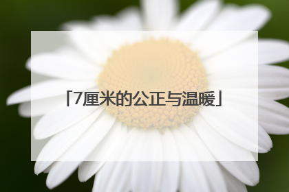 7厘米的公正与温暖