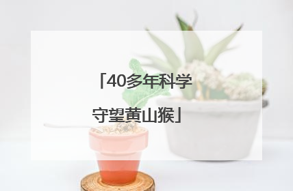 40多年科学守望黄山猴
