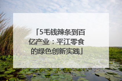 5毛钱辣条到百亿产业：平江零食的绿色创新实践