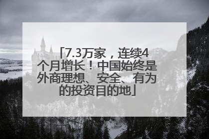 7.3万家，连续4个月增长！中国始终是外商理想、安全、有为的投资目的地