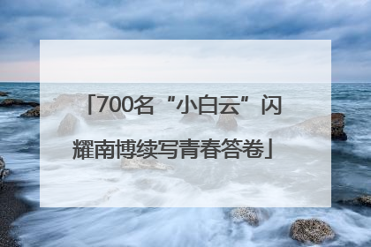 700名“小白云”闪耀南博续写青春答卷