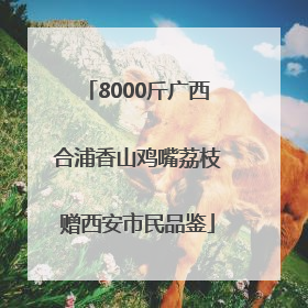 8000斤广西合浦香山鸡嘴荔枝赠西安市民品鉴