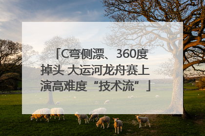 C弯侧漂、360度掉头 大运河龙舟赛上演高难度“技术流”