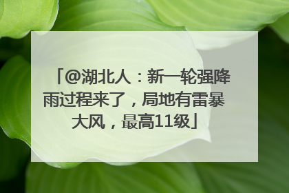 @湖北人：新一轮强降雨过程来了，局地有雷暴大风，最高11级