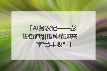 AI务农记——彭集街道甜瓜种植迎来“智慧丰收”
