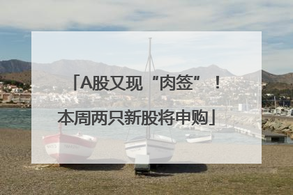 A股又现“肉签”！本周两只新股将申购
