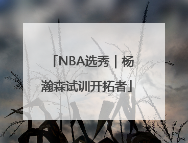 NBA选秀｜杨瀚森试训开拓者